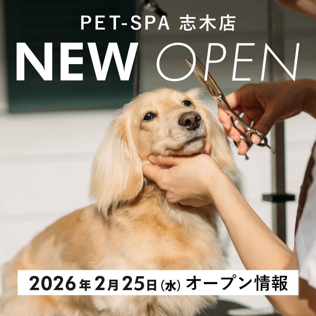 「PET-SPA 志木店」オープン情報！【2026年2月25日(水) 】