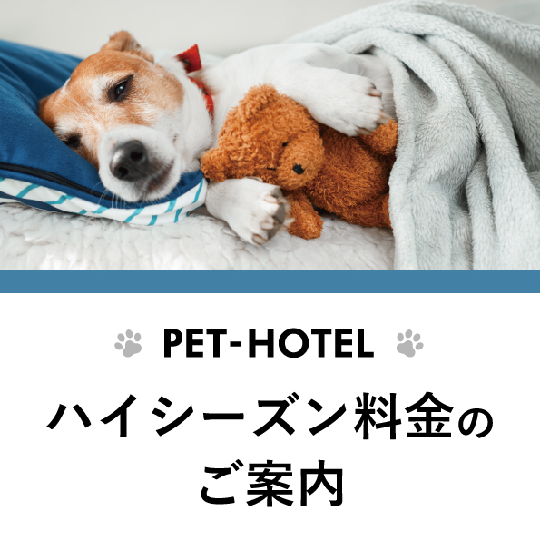 ペットホテルハイシーズンのお知らせ