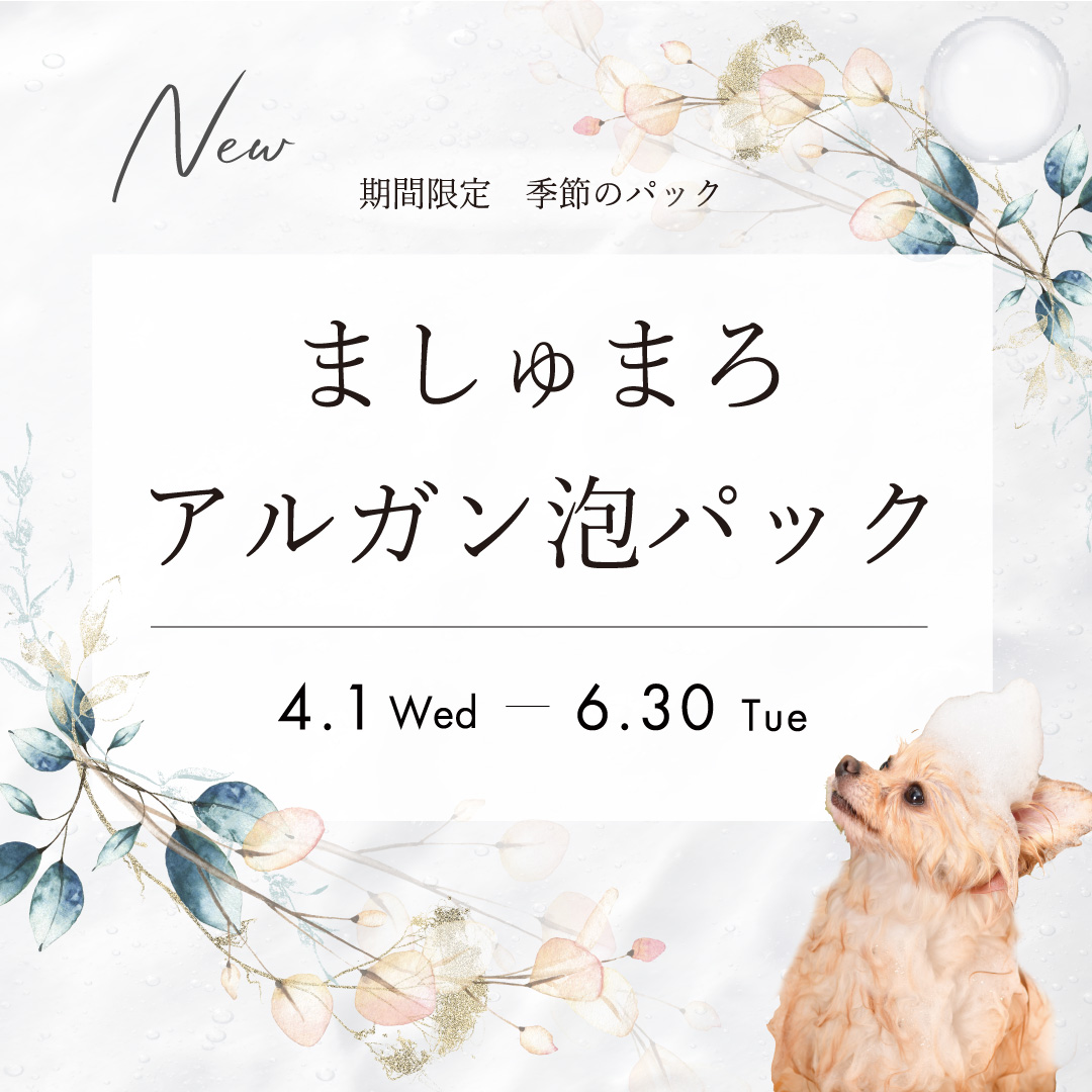【期間限定】ましゅまろアルガン泡パック