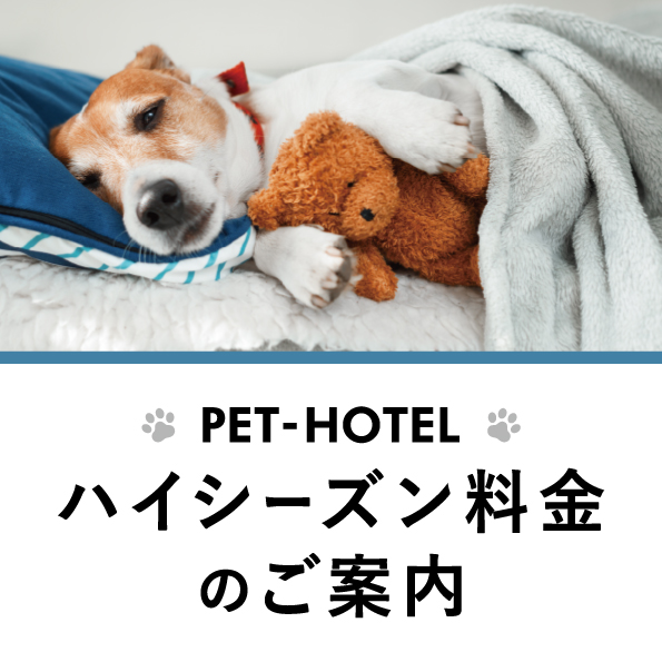 長野県